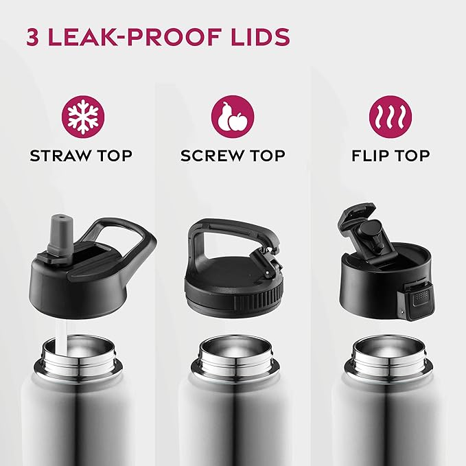 FineDine Triple Walled, Insulated Water Bottles with Straw - 25 Oz Stainless Steel Metal Bottle W/ 3 Leak Proof Lids - For Travel, School, Sports, Gym / Men, Women & Kids - Brushed Stainless Steel