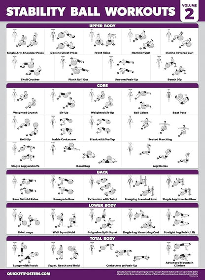 Palace Learning 2 Pack - Yoga Ball Workout Exercises Volume 1 & Volume 2 - Stability Ball Routine - Fitness Charts