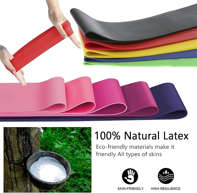 Resistance Bands for Working Out, Latex Exercise Bands Set of 5, Elastic Bands for Exercise with Workout Guide and Carry Bag, Fitness Bands for Strength Training, Yoga, Pilates, Home Workout