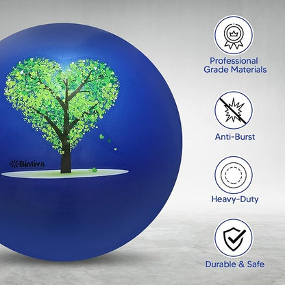 bintiva Exercise Ball
