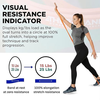 THERABAND High Resistance Bands, Set of 2 Elastic Super Bands for Improving Flexibility, Injury Rehab, & Full Body Workouts, Heavy Duty Stretch Bands for Lifting, 1 Light & 1 Medium Band