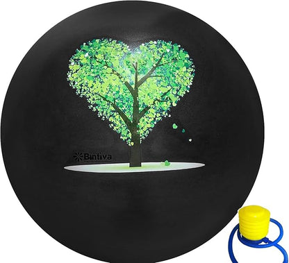 bintiva Exercise Ball