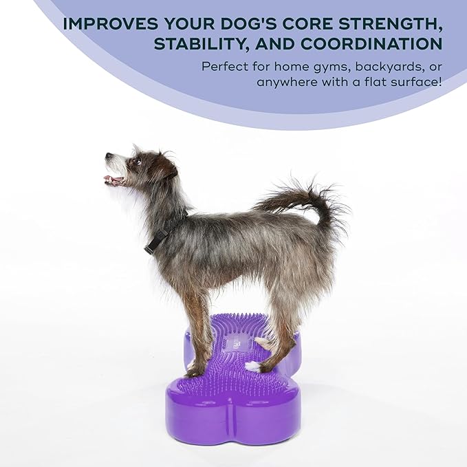 FitPaws® K9FITbone® - Regular, Purple | Dog Balance Training Platform & Exercise Equipment | Workout Tool for Strength, Core & Stability