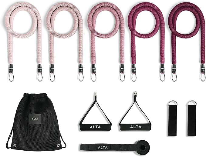 ALTA Resistance Tube Bands for Women - Full Kit Resistance Bands for Working Out with Handles, Ankle Straps, Door Anchor – Home Workout Bands for Physical Therapy, Pilates Long Exercise Bands Set