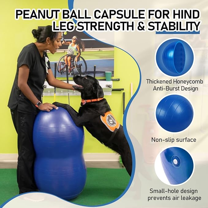 Dog Peanut Ball for Canine Fitness Rehabilitation for Small Medium Large Breed - Anti-Burst Pet Exercise Equipment for Core Strengthening Balance Training Hind Leg Stability (Medium - for Legs 5-11")