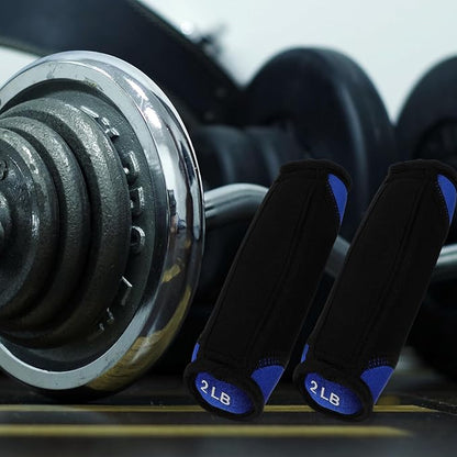 BESPORTBLE Soft Dumbbell Hand Weights 2lb Pair Blue Sandbag Fitness Equipment for Home Arm Toning Walking Exercise Training