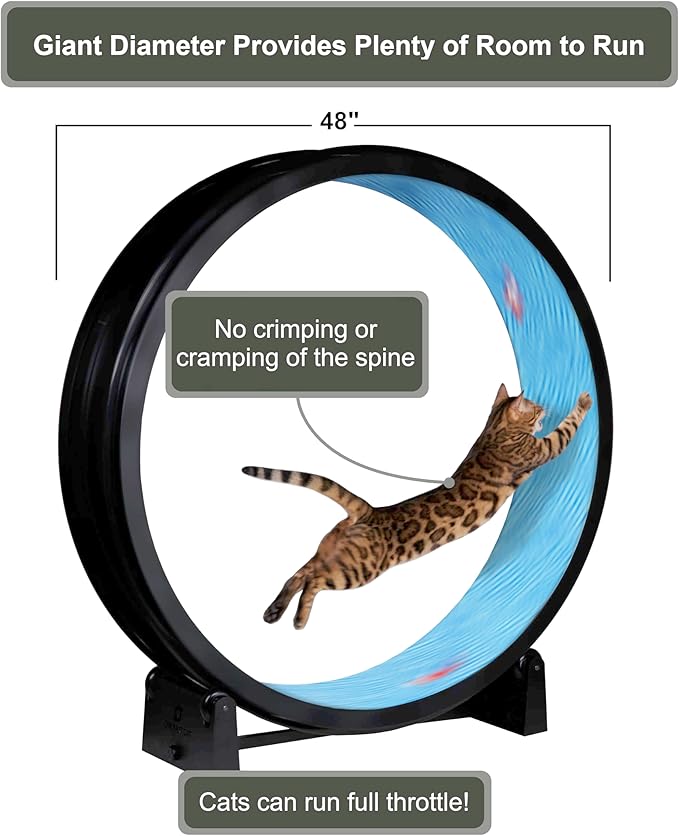 One Fast Cat - Cat Exercise Wheel - Gen. 7 - Safe 48" Diameter - Made in The USA - Black Wheel with Koi Pond Foam Traction Pads and Light-Up LED Inline Wheels
