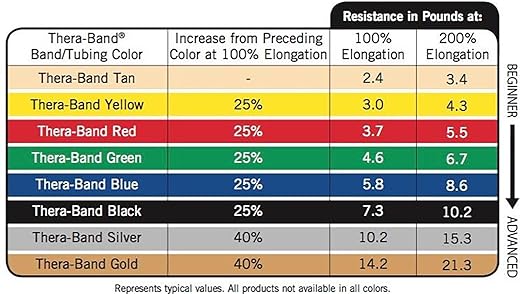 THERABAND Resistance Tubes, Professional Latex Elastic Tubing with Soft Handles & Door Anchor, Physical Therapy, Lower Pilates, At-Home Workouts, & Rehab, 48 Inch, Green, Heavy, Intermediate Level 1