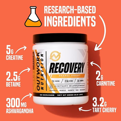 Outwork Nutrition Post Workout Recovery Powder - Creatine Monohydrate, KSM-66 Ashwagandha & Tart Cherry - Speeds Recovery, Eases Soreness - Creatine Powder for Men & Women, Orange Sherbet, 230 Gr