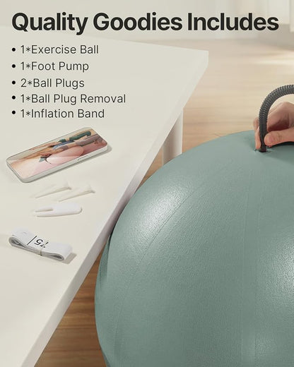 YOTTOY Anti-Burst Exercise Ball for Working Out, Yoga & Pregnancy, Extra Thick Workout Ball for Physical Therapy & Fitness