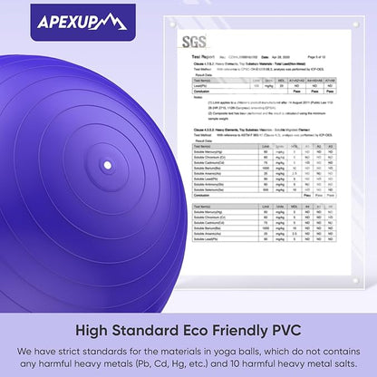 APEXUP Yoga Ball Exercise Ball Anti Slip Heavy Duty for Fitness, Balance & Core Workout