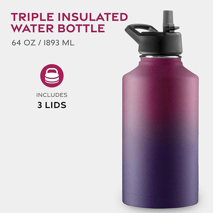 FineDine Triple Walled, Insulated Water Bottles with Straw - 64 Oz Stainless Steel Metal Bottle W/ 3 Leak Proof Lids - For Travel, School, Sports, Gym / Men, Women & Kids - Dreamy Purple