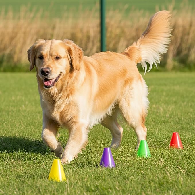 Bekith 120 Pack Indoor Outdoor Agility Mini Sports Cones, 3 Inch Training Marker Cones for Kids, Plastic Traffic Cones for Roller Skating and Skate Practice, 6 Assorted Colors