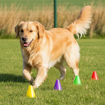 Bekith 120 Pack Indoor Outdoor Agility Mini Sports Cones, 3 Inch Training Marker Cones for Kids, Plastic Traffic Cones for Roller Skating and Skate Practice, 6 Assorted Colors