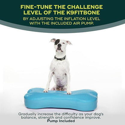 FitPAWS® K9FITbone CanineGym® Dog Balance Training Platform – Giant