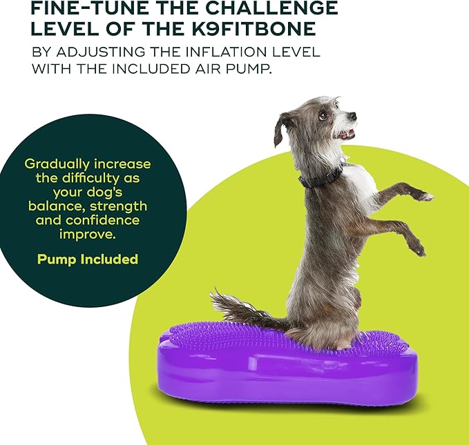 FitPaws® K9FITbone® - Regular, Purple | Dog Balance Training Platform & Exercise Equipment | Workout Tool for Strength, Core & Stability