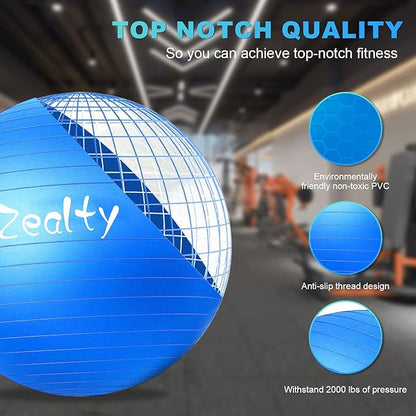 Yoga Ball Exercise Ball - Anti-Slip and Anti-Burst Workout Ball, Birthing Ball Fitness Ball with Quick Pump, Balance Ball Chair for Stability, Pregnancy and Physical Therapy