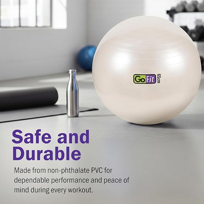 GoFit Stability Ball