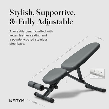 WeGym Fitness Bench, Adjustable, Collapsible, Comfortable, and Luxurious Home Gym Bench for Strength Training
