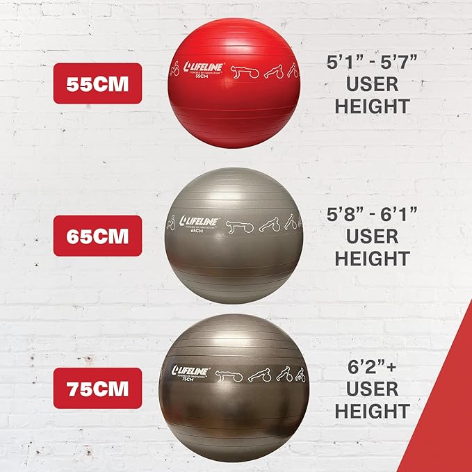 Lifeline Fitness Exercise Ball with Workout Guide – Burst-Resistant Stability Ball with Pump for Core, Balance, and Pregnancy Exercises