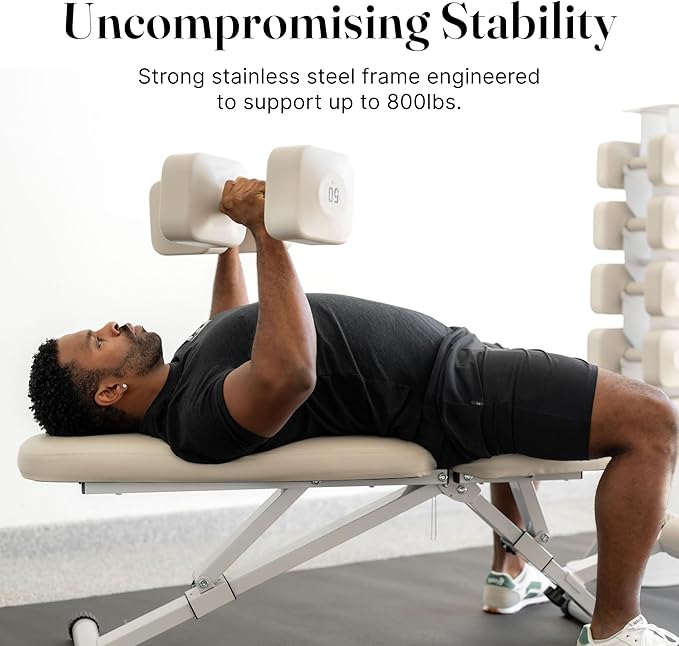 WeGym Fitness Bench, Adjustable, Collapsible, Comfortable, and Luxurious Home Gym Bench for Strength Training