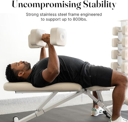 WeGym Fitness Bench, Adjustable, Collapsible, Comfortable, and Luxurious Home Gym Bench for Strength Training