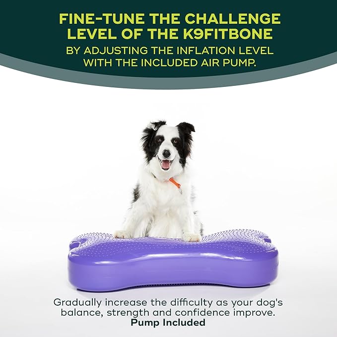FitPAWS® K9FITbone CanineGym® Dog Balance Training Platform – Giant