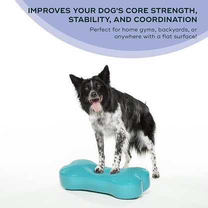 FitPAWS® K9FITbone® - Regular, Aqua | Dog Balance Training Platform & Exercise Equipment | Workout Tool for Strength, Core & Stability