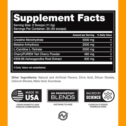 Outwork Nutrition Post Workout Recovery Powder - Creatine Monohydrate, KSM-66 Ashwagandha & Tart Cherry - Speeds Recovery, Eases Soreness - Creatine Powder for Men & Women, Orange Sherbet, 230 Gr