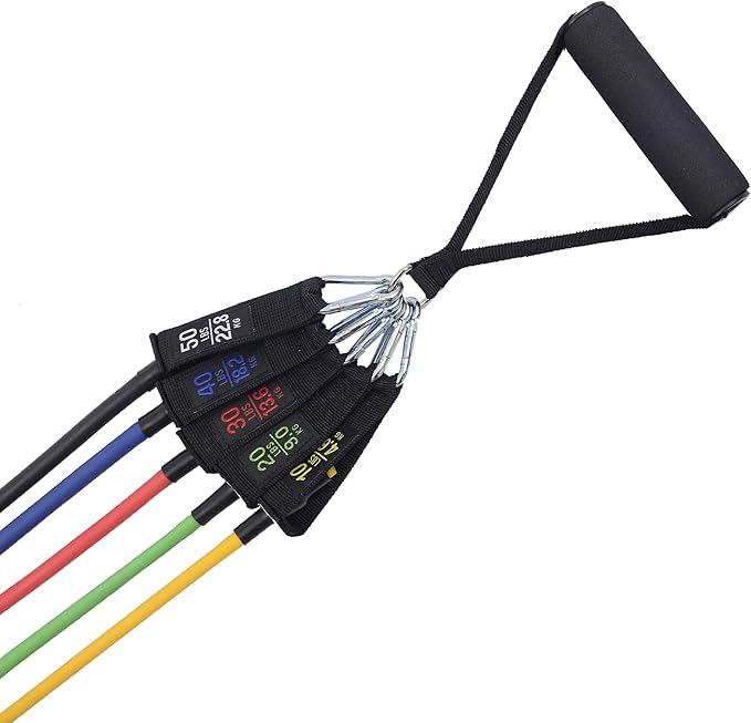 Alpine Swiss Exercise Resistance Bands Set with Handles, Door Anchor, Ankle Straps and Carry Bag for Men and Women