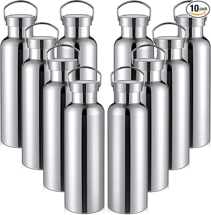 10 Pack Reusable Stainless Steel Water Bottle Bulk Double Wall Insulated Sports Water Bottle with Handle and Vacuum Seal Leakproof Lid for Sports Cyclists Hiking Gym Camping Gift(Silver,25 oz)