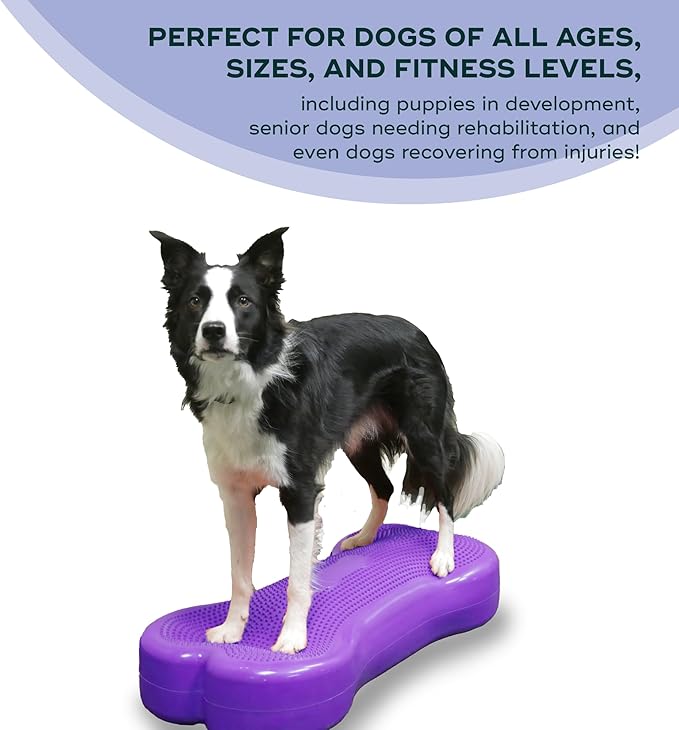 FitPAWS® K9FITbone CanineGym® Dog Balance Training Platform – Giant