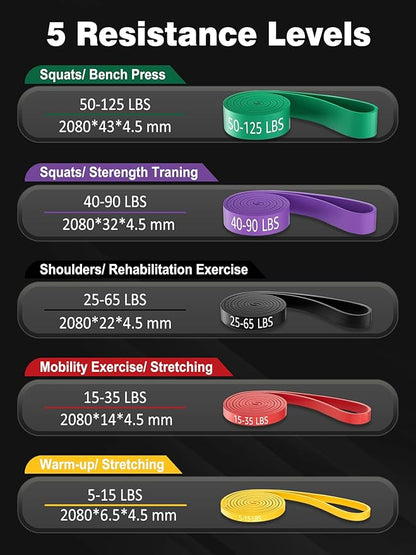 Resistance Bands Set for Pull Up Assistance, Exercise Workout Bands Set with Handles and Door Anchor, Elastic Band for Working Out, Body Stretching, Muscle Training, Men & Women