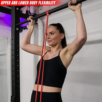 Fit Active Sports Resistance Workout Exercise Bands for Home, Gym, Stretching, Strength Training, Weightlifting, Pull Up Assist - Indoor and Outdoor Use