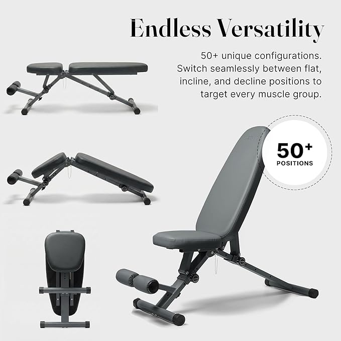 WeGym Fitness Bench, Adjustable, Collapsible, Comfortable, and Luxurious Home Gym Bench for Strength Training