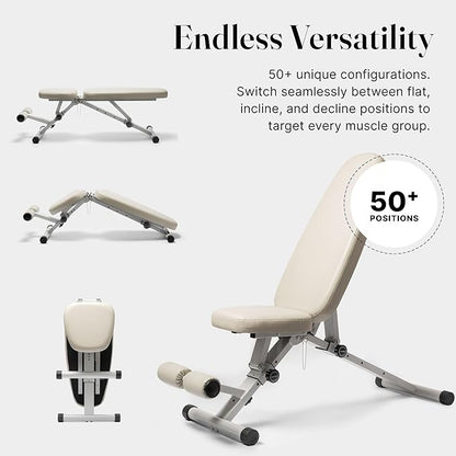 WeGym Fitness Bench, Adjustable, Collapsible, Comfortable, and Luxurious Home Gym Bench for Strength Training
