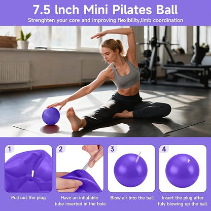 SAN LIKE Home Pilates Essentials Kit for Women, Pilates Equipment Ring and Ball Set, 12'' Magic Circle, Yoga Ball,8 Resistance Bands Premium Accessories Kits for Starter Toning Workouts at Home