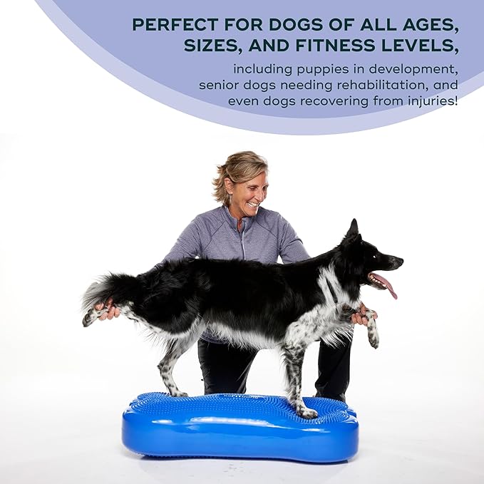 FitPAWS® K9FITbone CanineGym® Dog Balance Training Platform – Giant