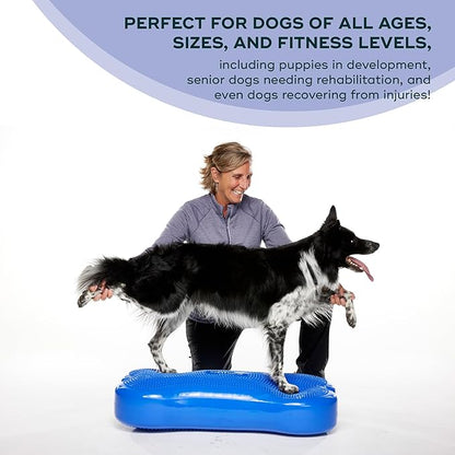 FitPAWS® K9FITbone CanineGym® Dog Balance Training Platform – Giant