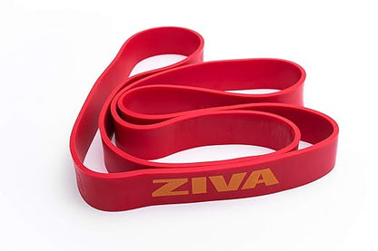 Ziva PRO Portable Resistance Band - Pull Up Assistance Exercise Bands for Home Fitness, Stretching, Strength Training, Physical Therapy – Heavy Resistance, 41" L, 33-55 lbs. Tension