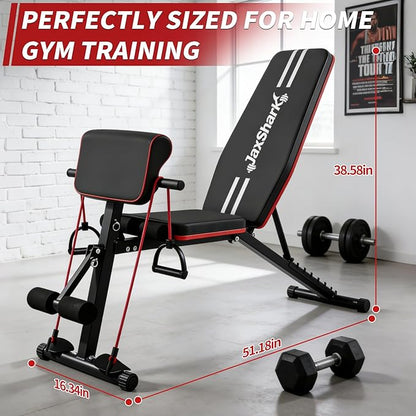 Adjustable Weight Bench, Foldable Workout Bench Press, Weight Benches for Home Gym, Workout Equipment for Full Body Exercise