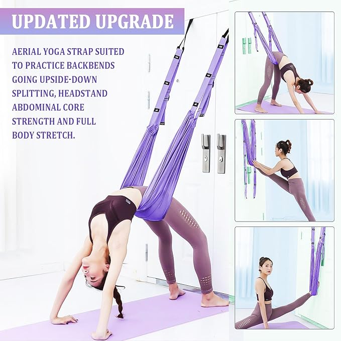 Leg Stretcher Strap Adjustable Fitness Strap Band for Waist Trainer Stretching Door Swing Flexibility Tensile Trainer with Carrying Pouch Back Bend Go Upside-Down for Yoga Practitioner Ballet Dancer Gymnastics Exercises