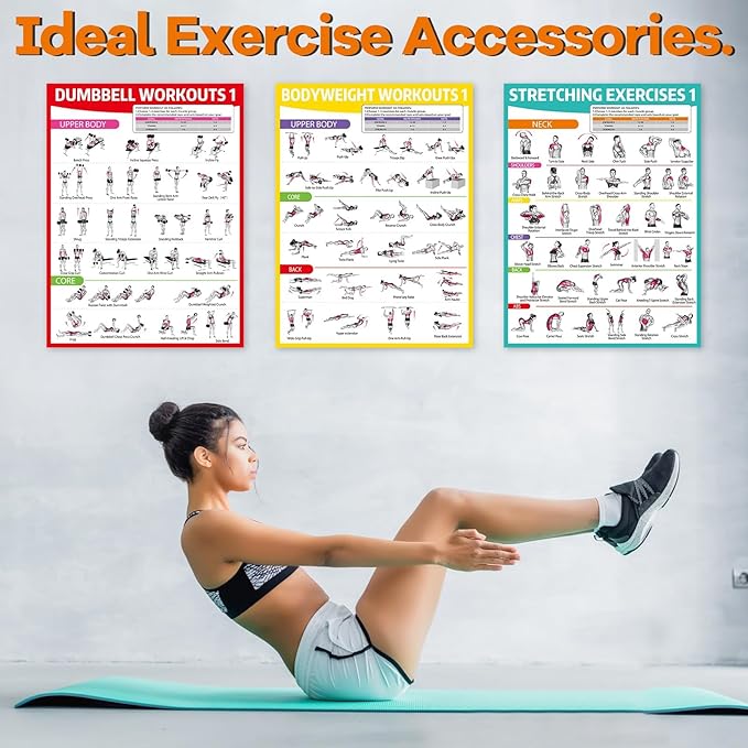gisgfim 6PCS Workout Posters for Home Gym Dumbbell Bodyweight Stretching Workout Exercise Chart