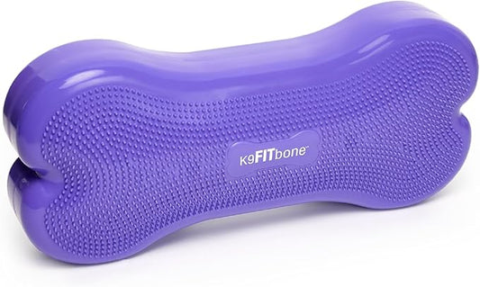 FitPAWS® K9FITbone CanineGym® Dog Balance Training Platform – Giant