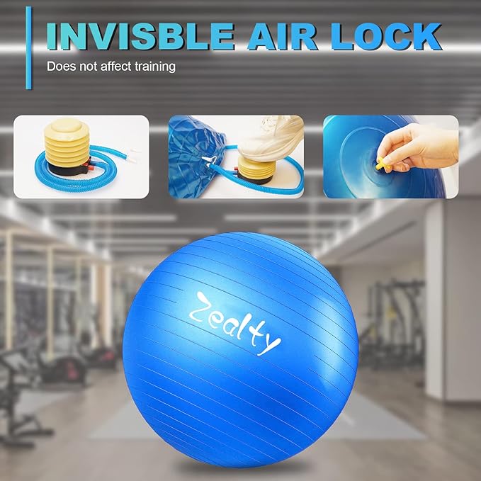 Yoga Ball Exercise Ball - Anti-Slip and Anti-Burst Workout Ball, Birthing Ball Fitness Ball with Quick Pump, Balance Ball Chair for Stability, Pregnancy and Physical Therapy