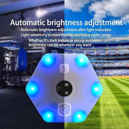 Agile Reaction Training Lamp Set, LED Flash Reflex Training Equipment, Portable Smart Agile Fitness Light with 6 Light Colors, Automatic Brightness Adjustment, 270 Degrees Viewing Angle,12Lights
