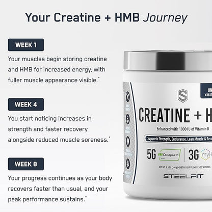 SteelFit Creatine HMB Powder - 5g Creapure Creatine Monohydrate Powder, 3g myHMB & 1000 IU Vitamin D - Workout Supplement Supports Muscle Growth, Strength, Recovery & Energy - Unflavored, 30 Servings