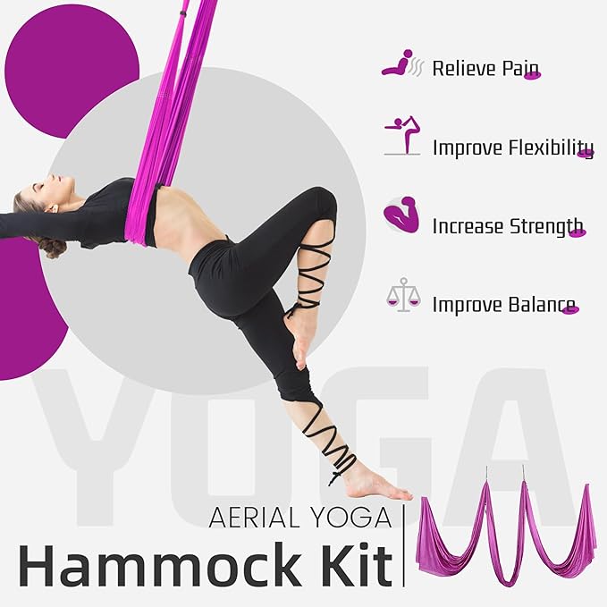 HECASA Aerial Silks Yoga Swing Set, Aerial Yoga Hammock w/Daisy Chain for Home, Inversion Exercises, Strength Training and Starter Kit