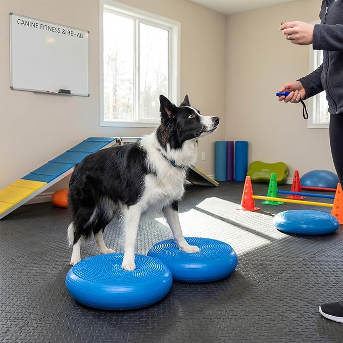 Shappy 2 Pcs Dog Balance Disc Cushion 14" Blue with Pump Exercise Equipment Rehab Exercise Strength Endurance Conditioning Agility Flexibility Stability Rehabilitation Physical Training Workout Tool