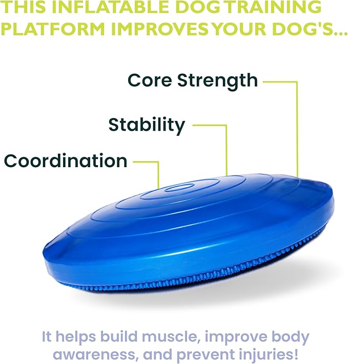 FitPAWS® Dog Balance Disc – 14”, Blue | Dog Exercise Equipment | Workout Tool for Strength, Core, Stability & Rehabilitation